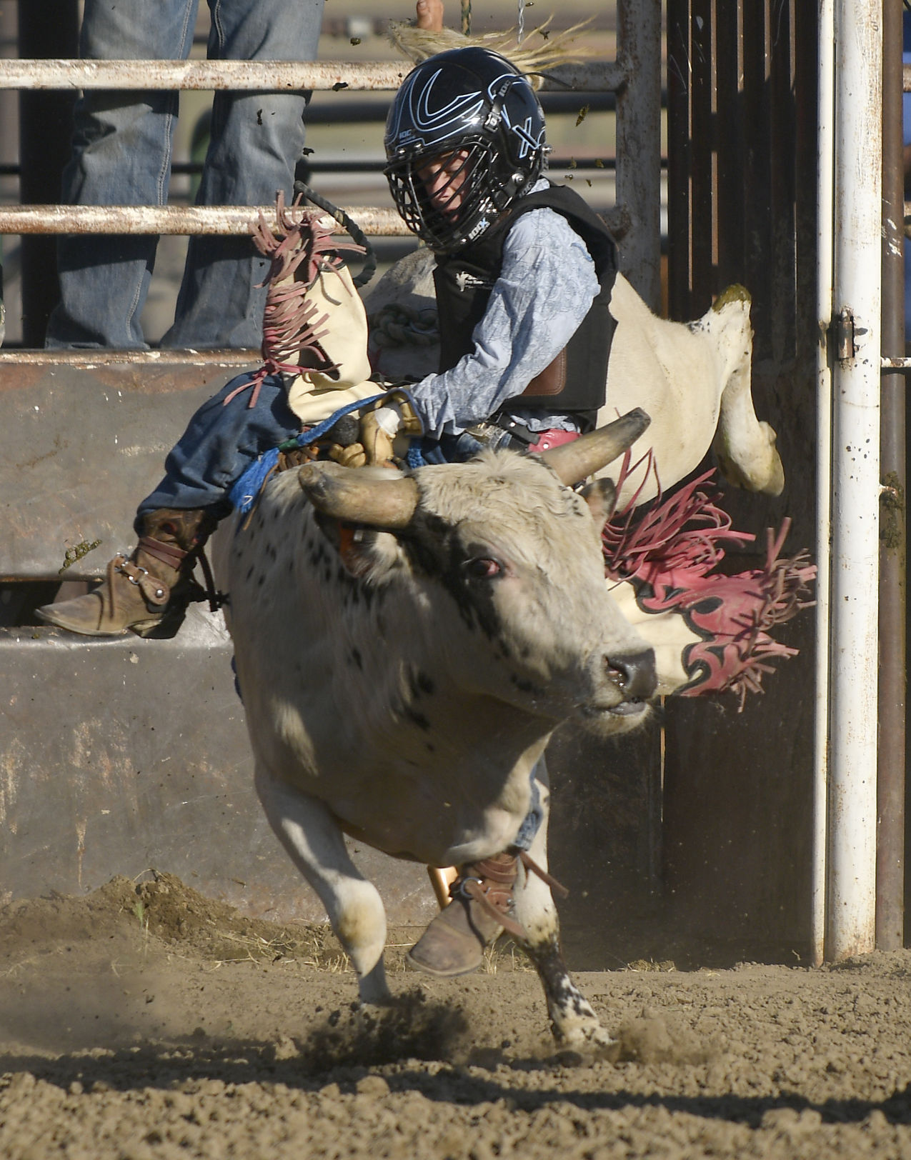 Lincoln County Mini Bull Riding